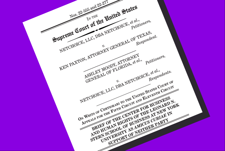 Image of amicus brief with purple background