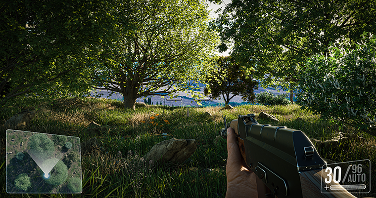 Player view of first-person shooter game