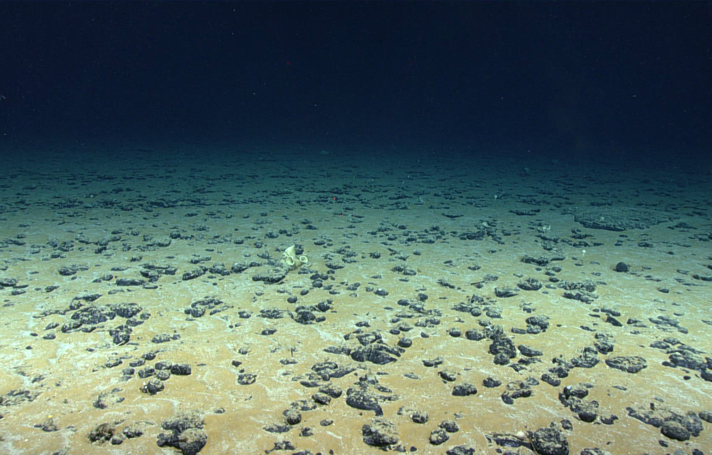 Deep Sea – QT