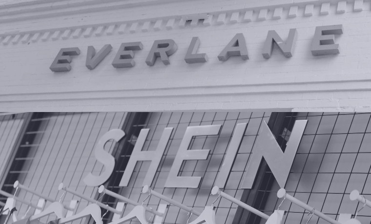 Everlane QT (2)